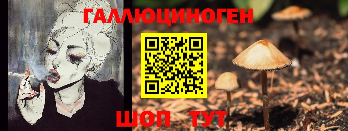 Будённовск  Псилоцибиновые грибы ЛСД  Вход с VPN  Псилоцибиновые грибы GOLDEN TEACHER 
